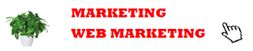 Marketing e web marketing